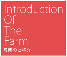 Introduction Of The Farm 農園のご紹介